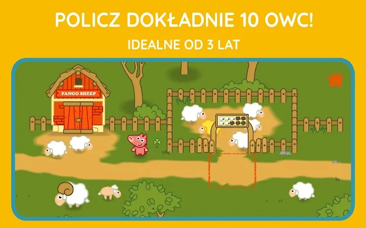 Rzeka — kąpiel owiec